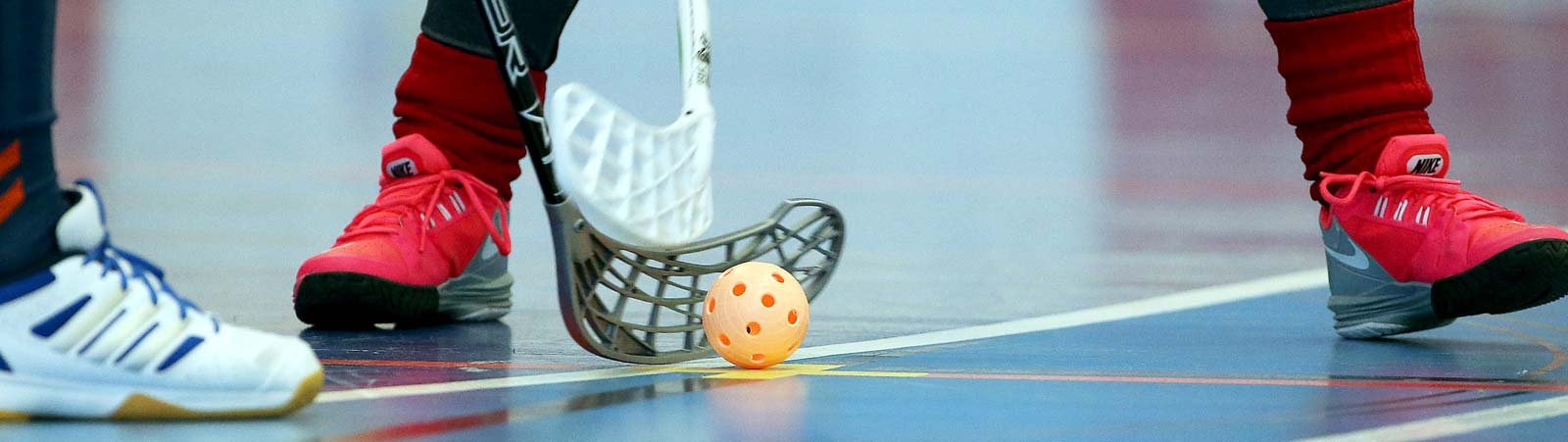 Floorball Verband